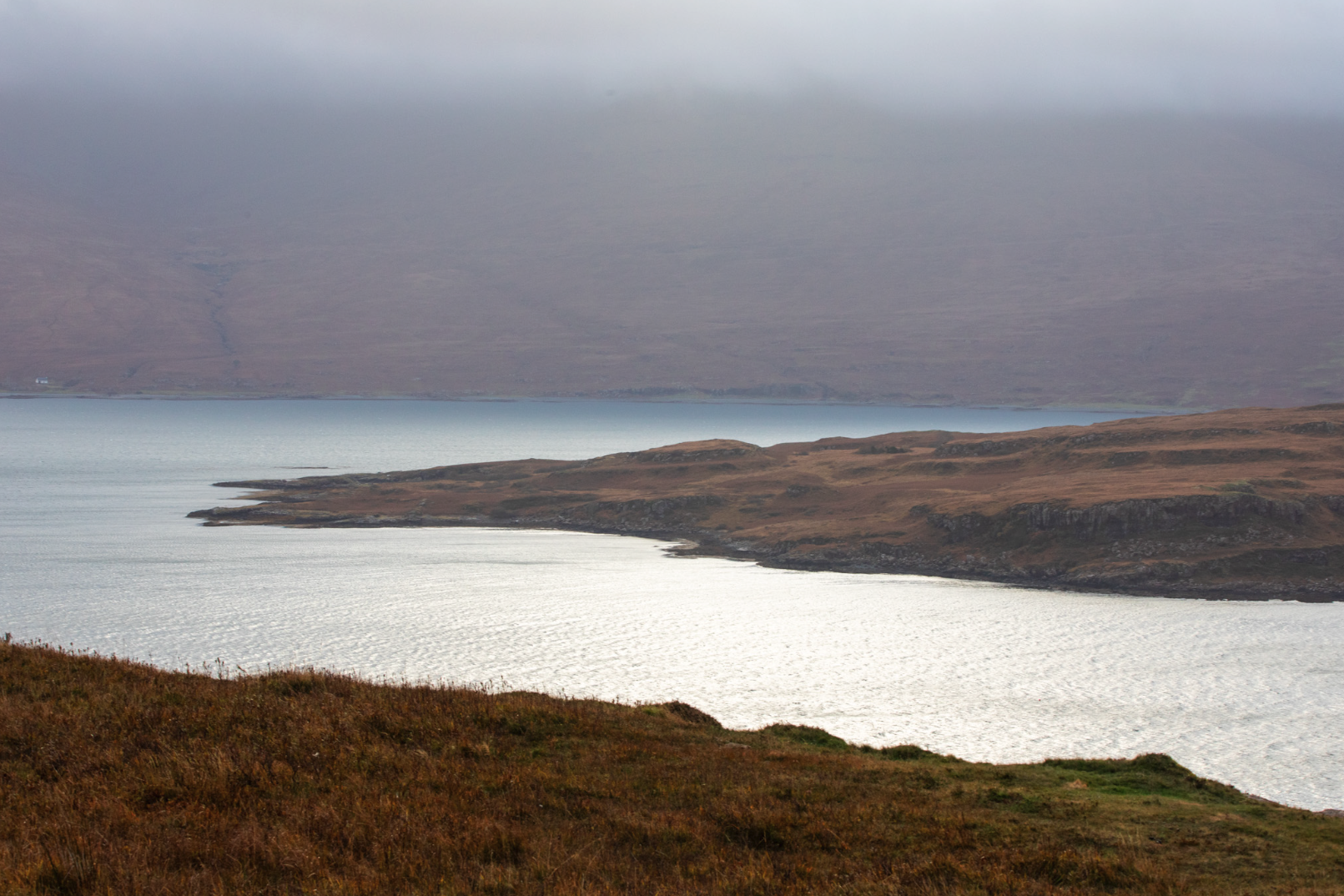 Screenshot 2025-02-25 at 11.16.09 PM.png