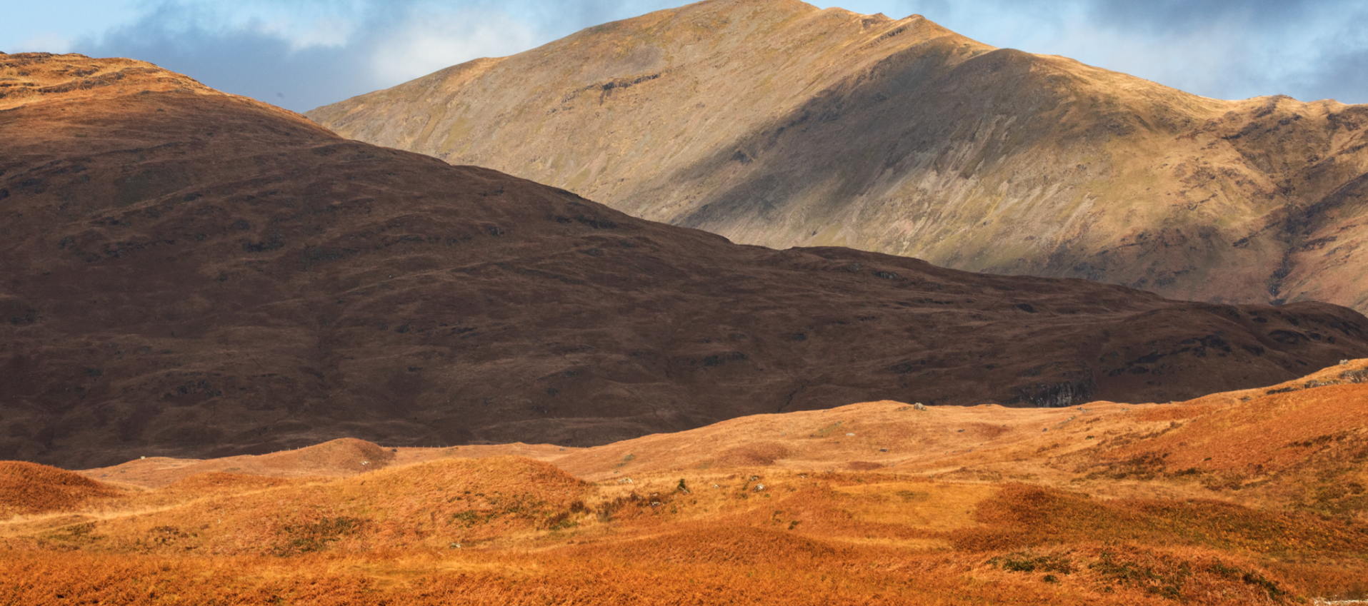 Screenshot 2025-02-25 at 11.20.55 PM.png