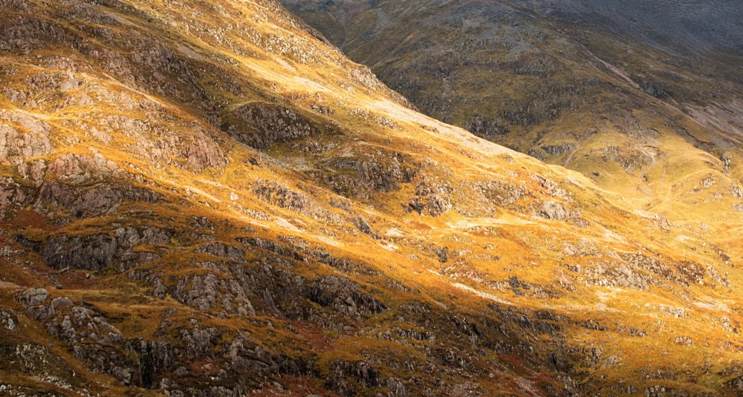 Screenshot 2025-02-25 at 11.17.09 PM copy.jpg