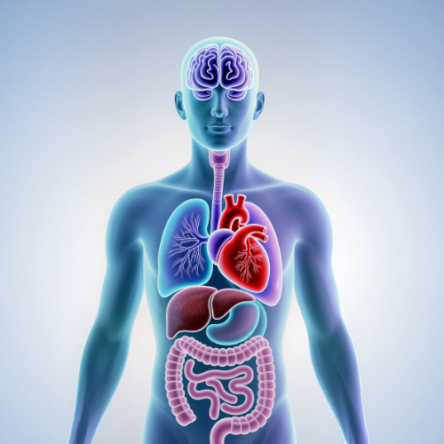 Still Wired &amp; Tired? Try This 3-Step Nervous System Reset