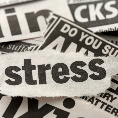 Is Stress Hijacking Your Hormones?