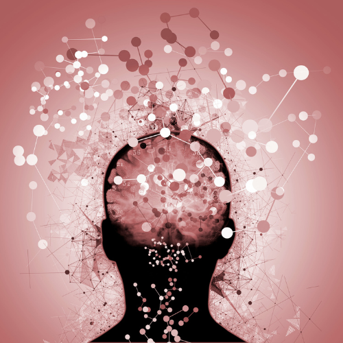 Why Mental Clarity Depends on Your Nervous System