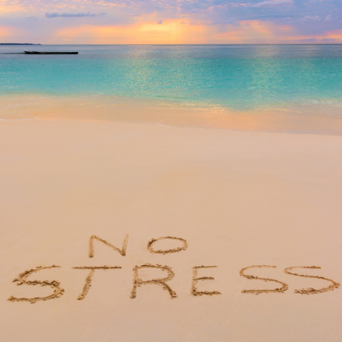 Summer Stress Isn't Always Obvious: Hidden Signs Your Nervous System Needs Recovery
