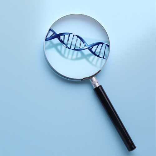 What Your DNA Can, and Can’t, Tell You About Your Health