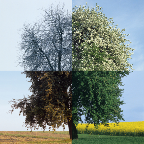 Why Seasonal Changes Can Affect Your Sleep, Mood, and Energy