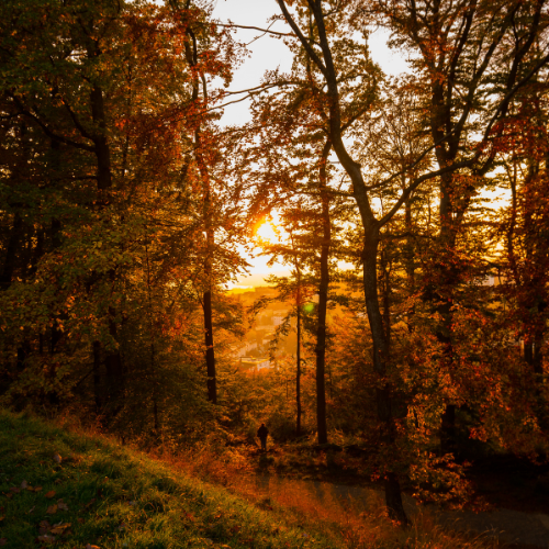 Why You May Feel More Tired as the Days Get Shorter