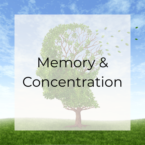 Memory and Concentration.png