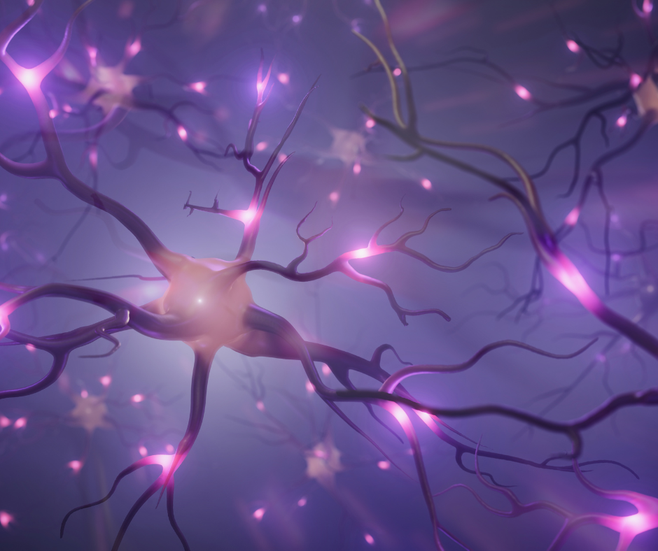 visualization for goals, mental rehearsal, habit formation, stress and motivation, nervous system and goals, year-ahead planning, mindset and resilience