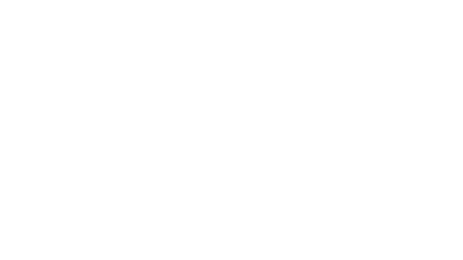 Frankie Silver