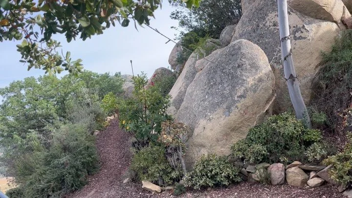 Come take a look at the little sliver of paradise I call home ✨