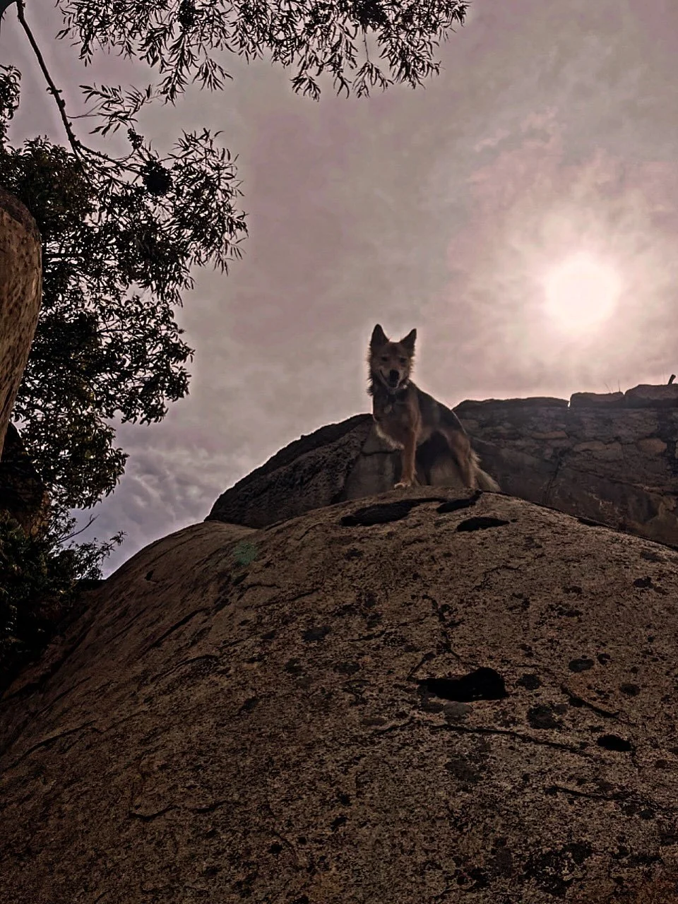 A day in the life. ⛰️🐾