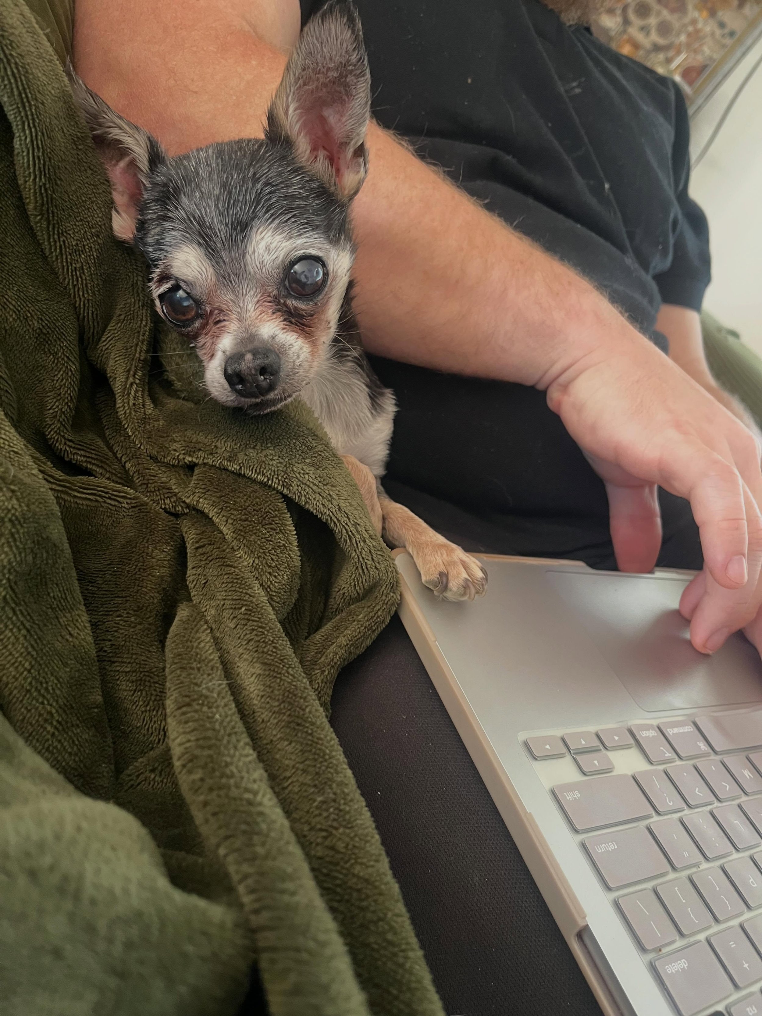 Worker bb