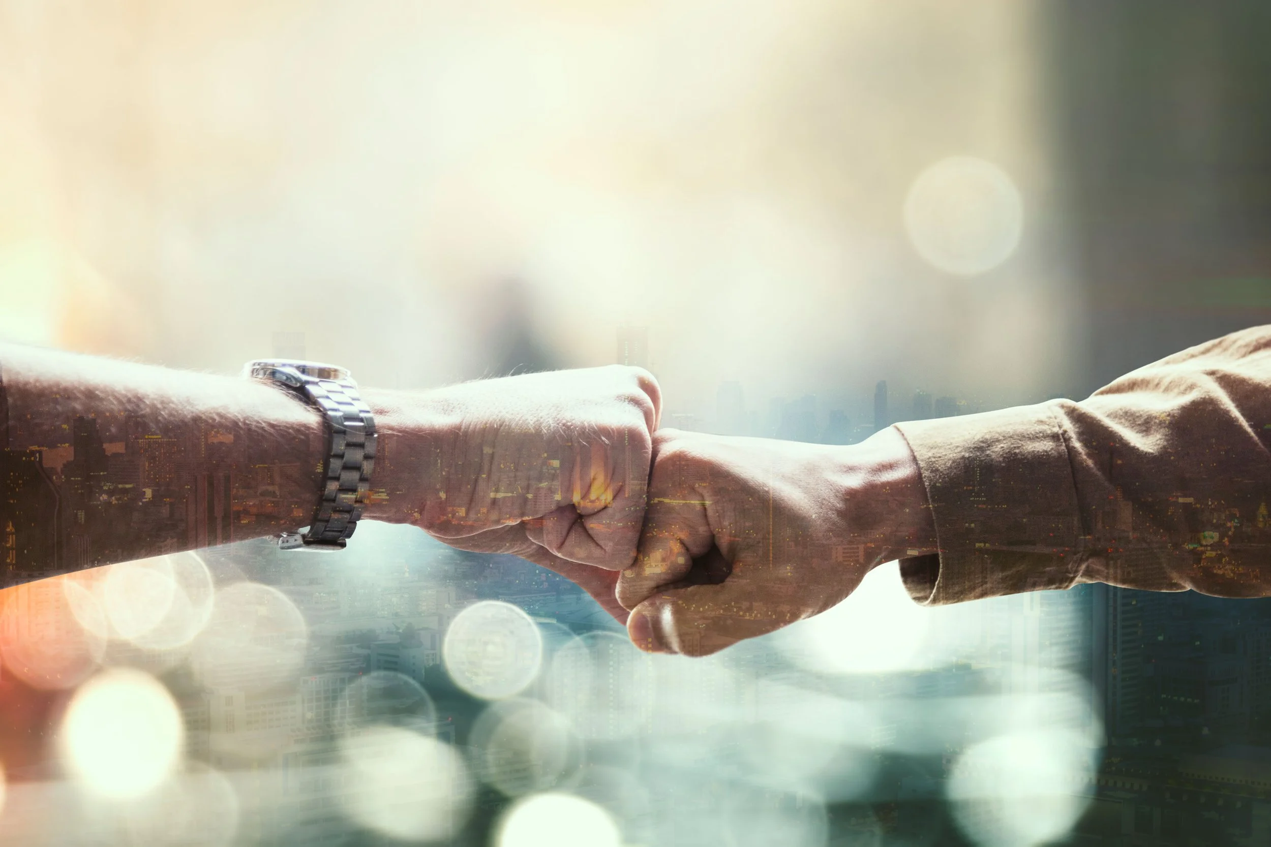 Partner-Banner-web.jpg