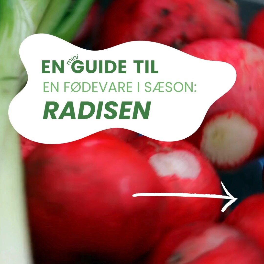 T&aelig;nker du over, om det du spiser, er i s&aelig;son? 🍃

Danskernes kendskab til s&aelig;sonernes r&aring;varer er faldet - s&aelig;rligt hos unge.

Og det har vi i Frej t&aelig;nkt os at lave om p&aring;.

Derfor har vi lavet denne mini-guide, 