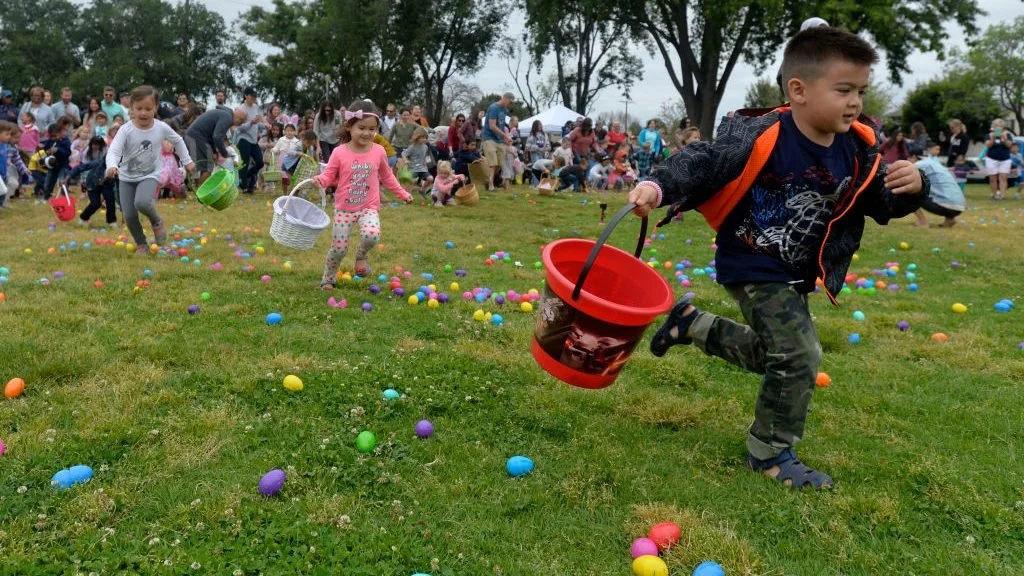 Children: Egg Hunt