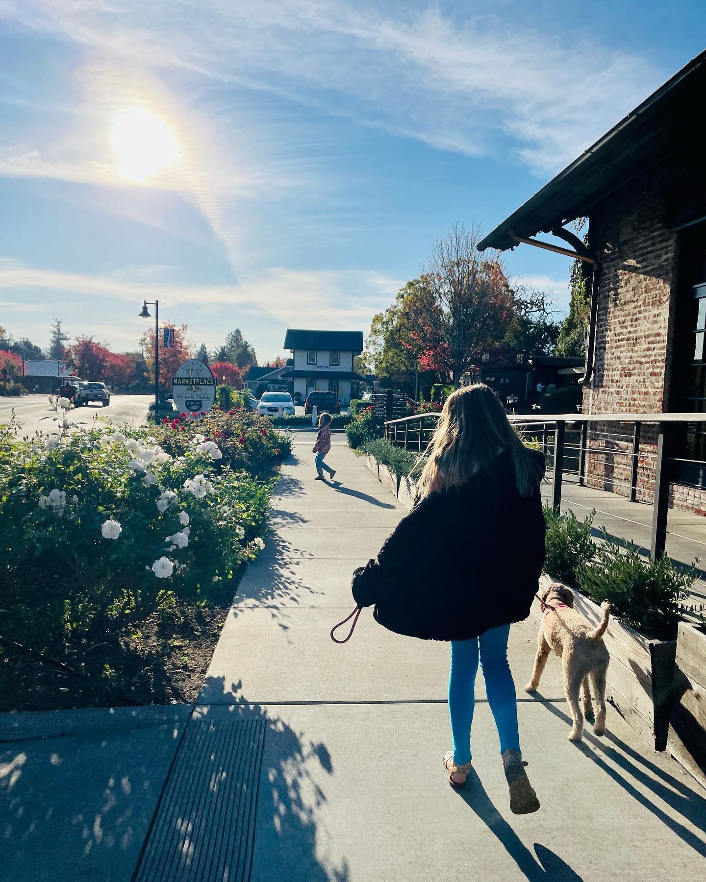 Yountville and early trick or treating in Napa while we celebrate their great-grandma&rsquo;s 90th birthday. 💗