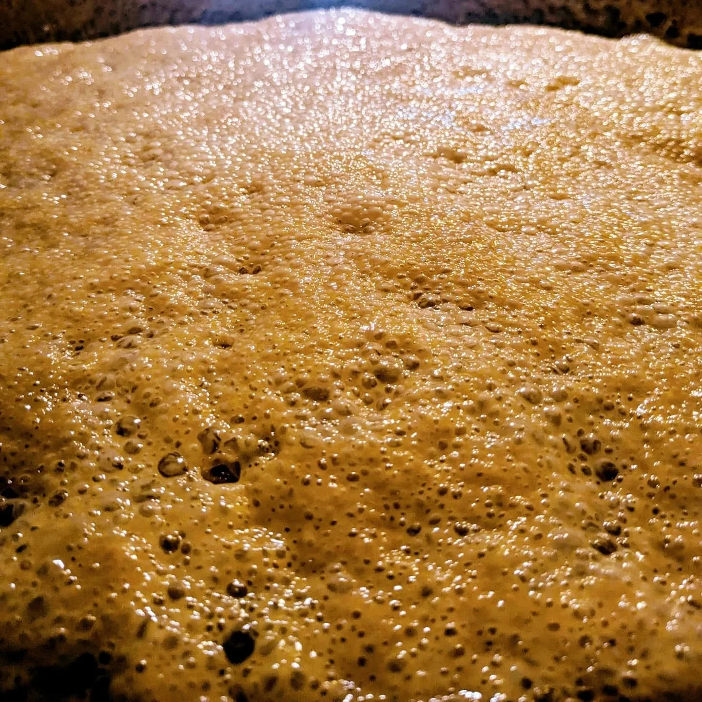 Landing just in time for the full moon this weekend, our Moonlite returns to both markets.

✨🌕

#farmfreshbeer 
#homegrownfarmmarket
#greenbeltfarmersmarket