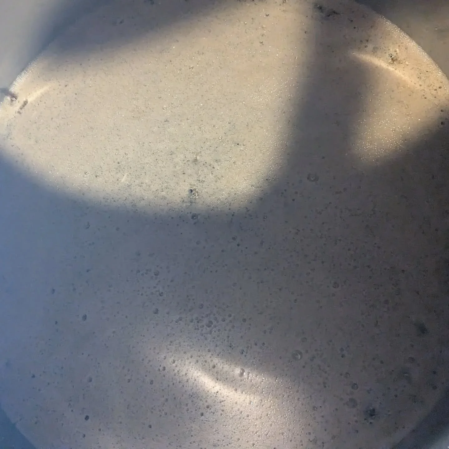 This week we brewed a Moonlite on a full moon. The last beer to be made at Jubilee. 
New phases @thefarthingsfermentery soon. 🌙 

#smallbeer 
#visitstmarysmd 
#historicstmaryscity