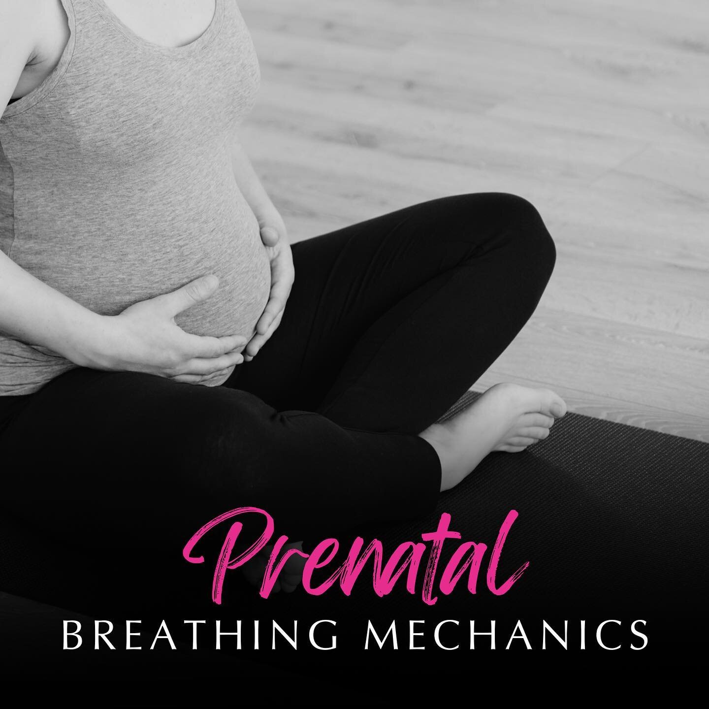 Expecting a Baby? Our Free Guide to Breathing Mechanics and Mobility during Pregnancy will introduce you to various strategies to better optimize how your diaphragm and pelvic floor interact so that you are easily able to access your deep core muscle
