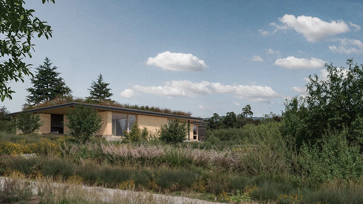 CM_260128_Camino_01_EDIT.jpg