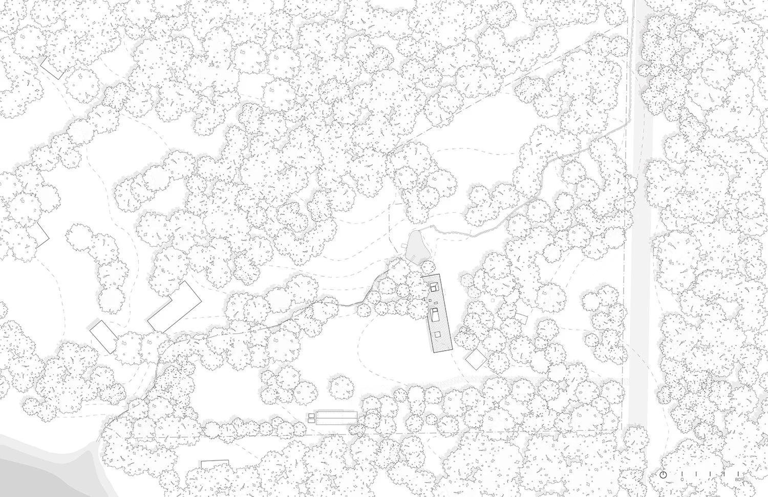 2303- Graphic Site Plan.jpg