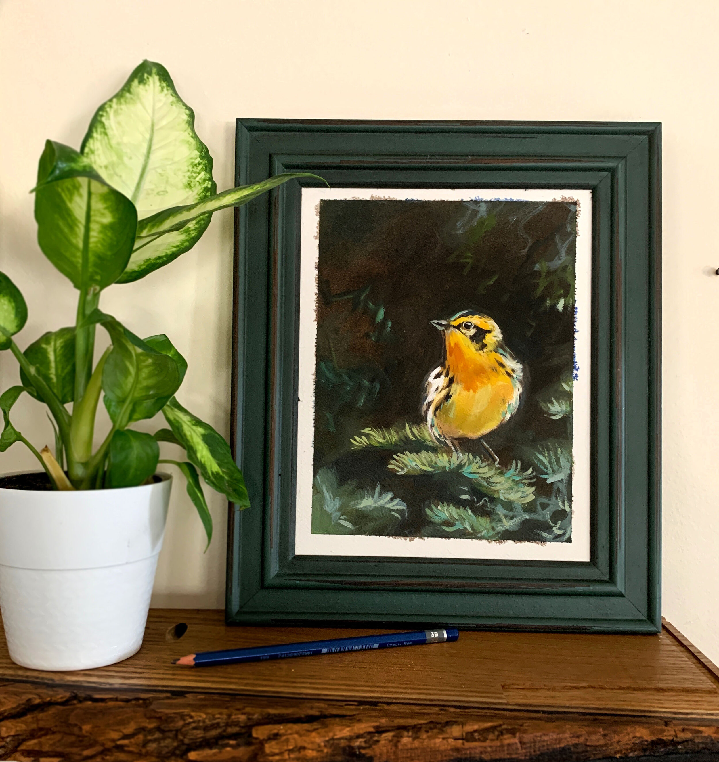 Magnolia Warbler, Oil on paper. 8x10"