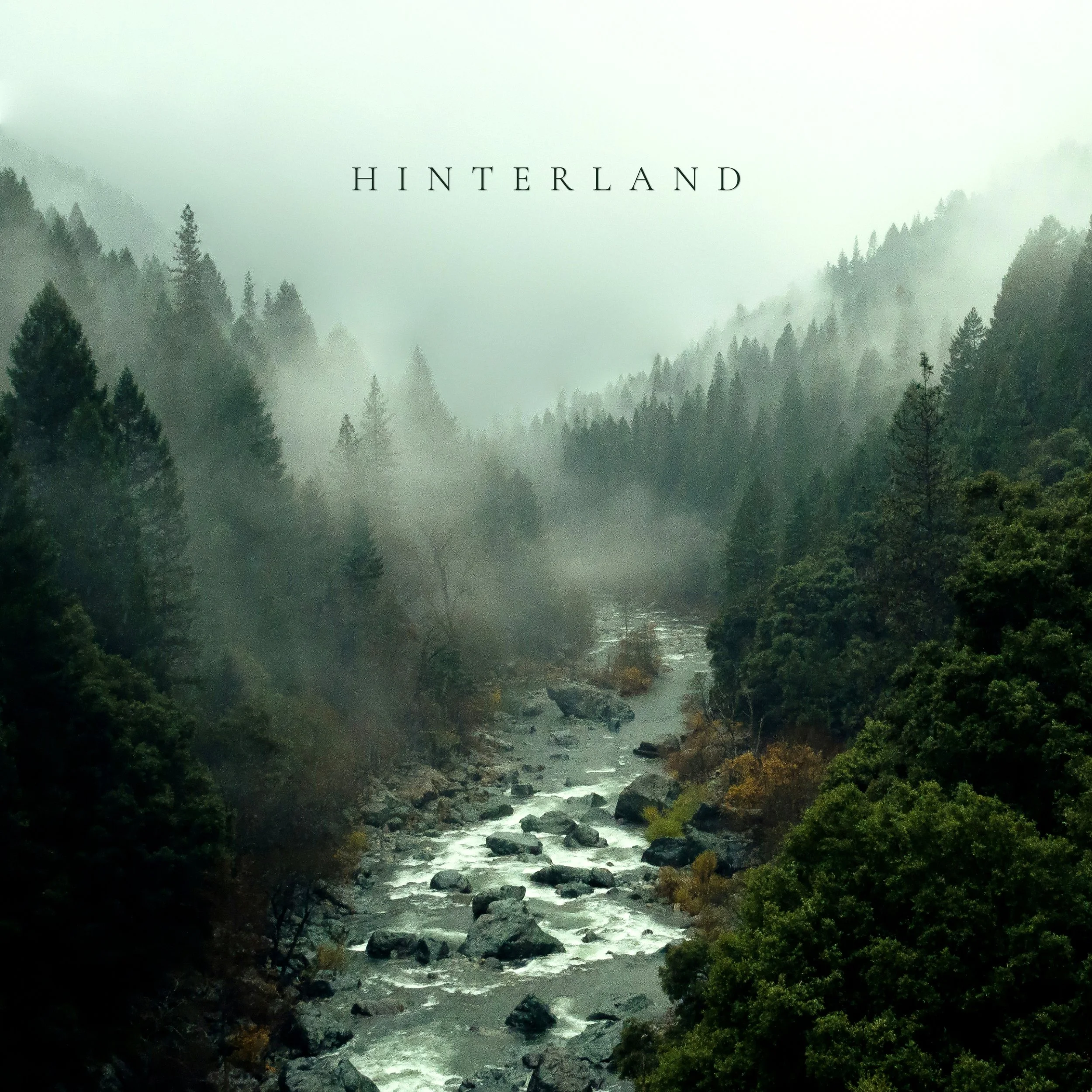 Vellichor - Hinterland