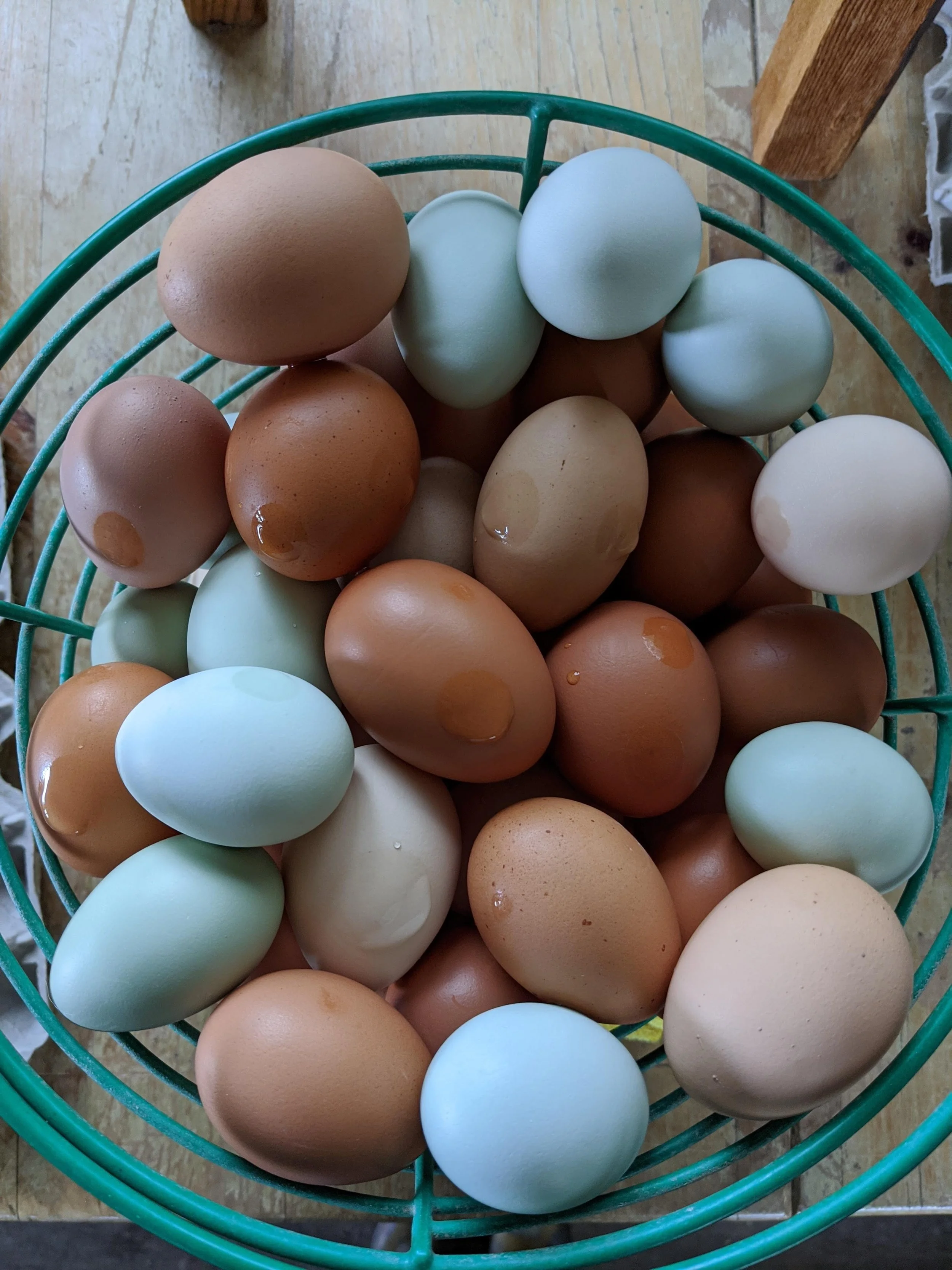 Eggtra Good Deal of the Week