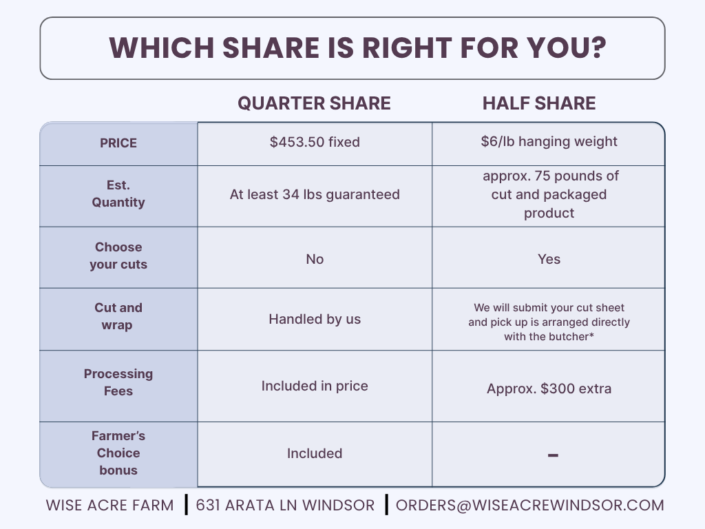 Which share is right for you (1).png (Copy)