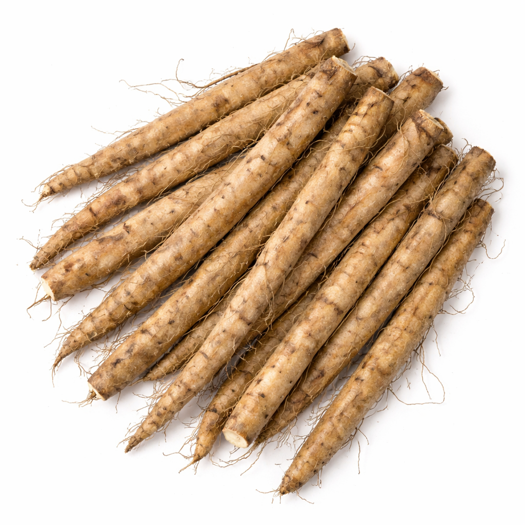 Burdock Root