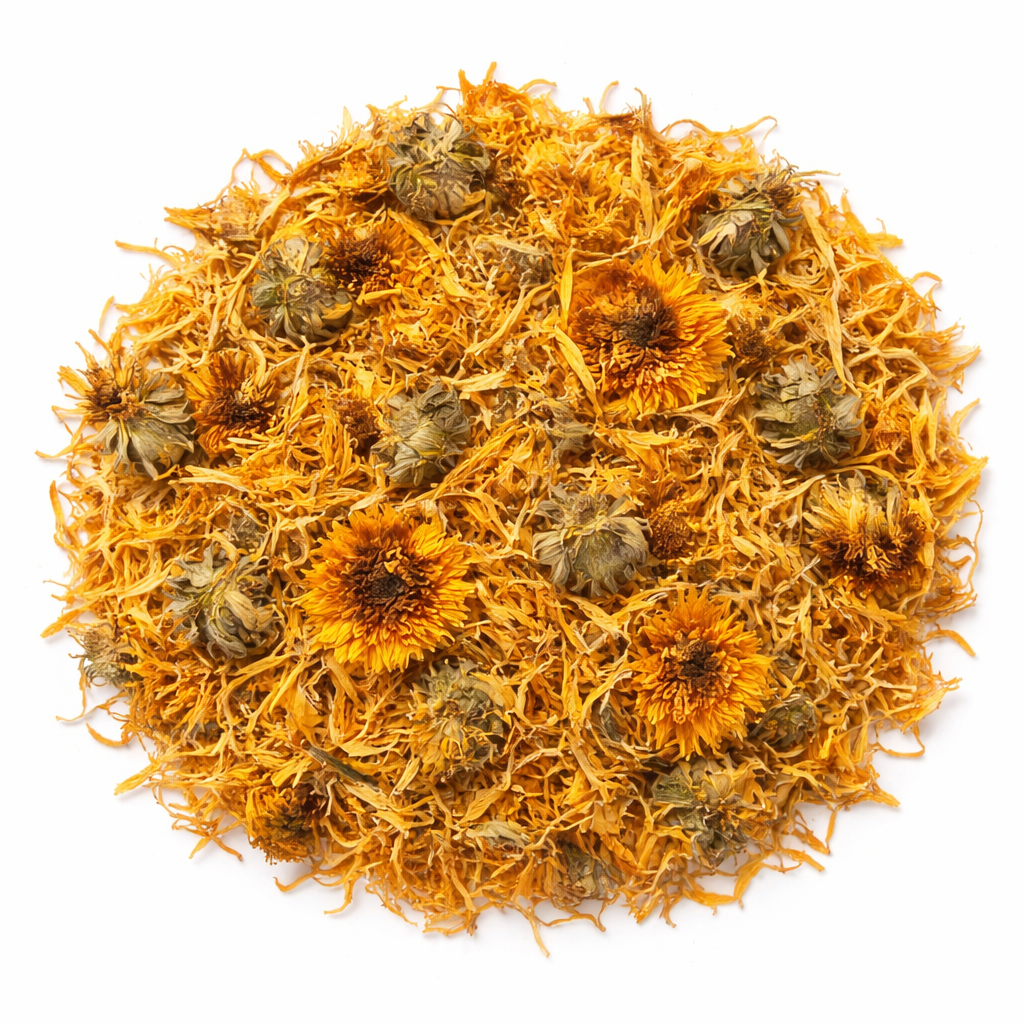 Calendula