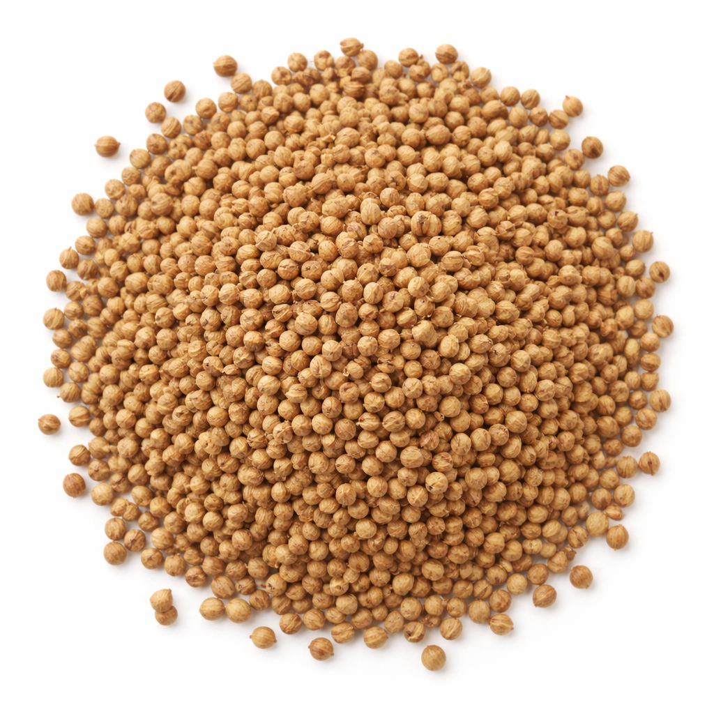 Coriander Seed 