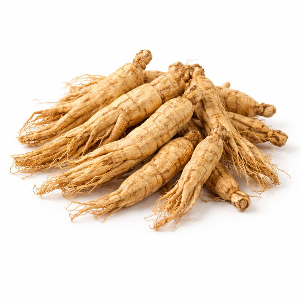 Ginseng