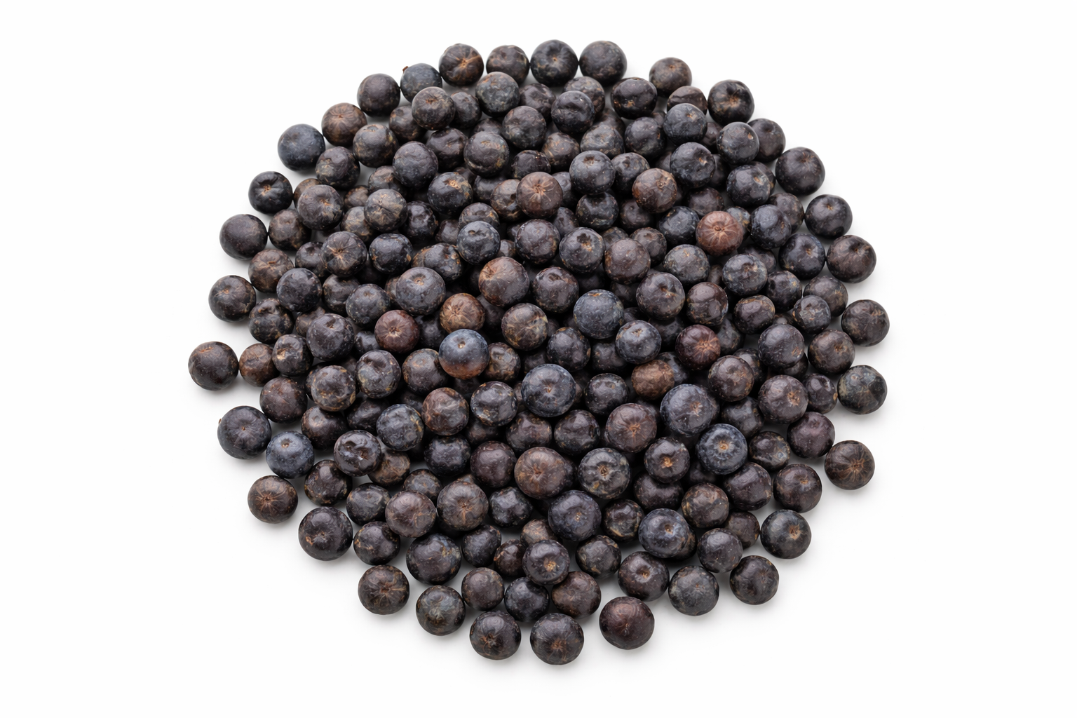 Juniper Berry