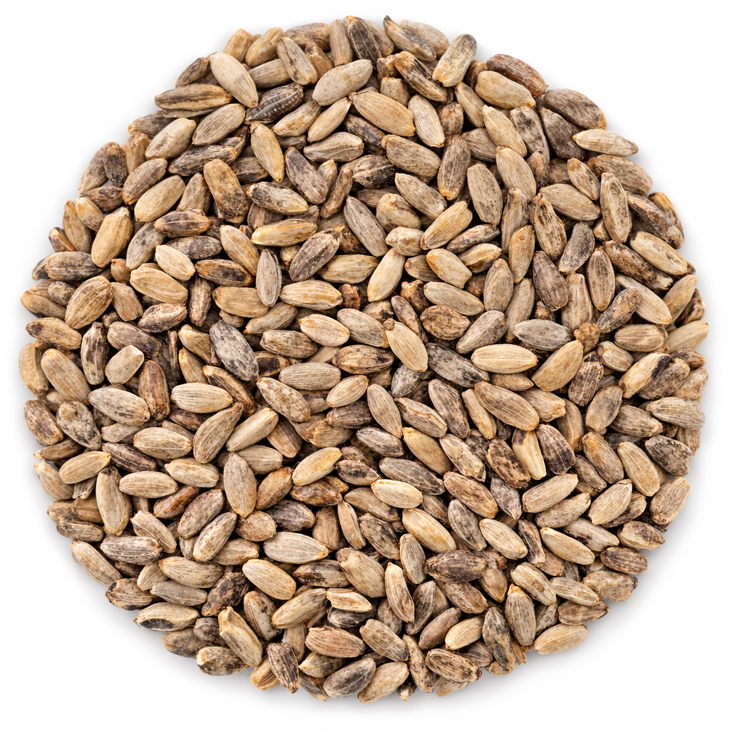 Milk Thistle Seed