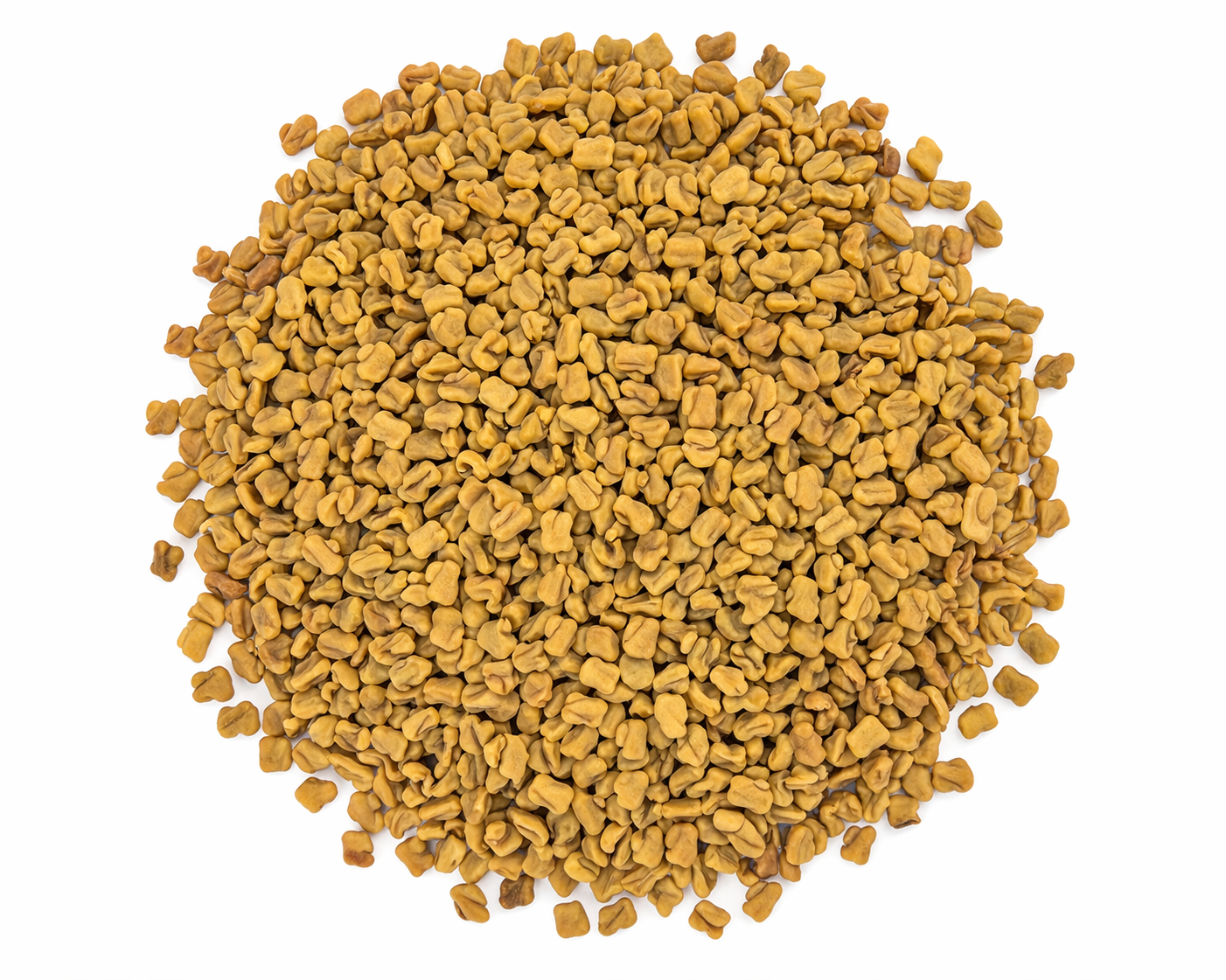 Fenugreek