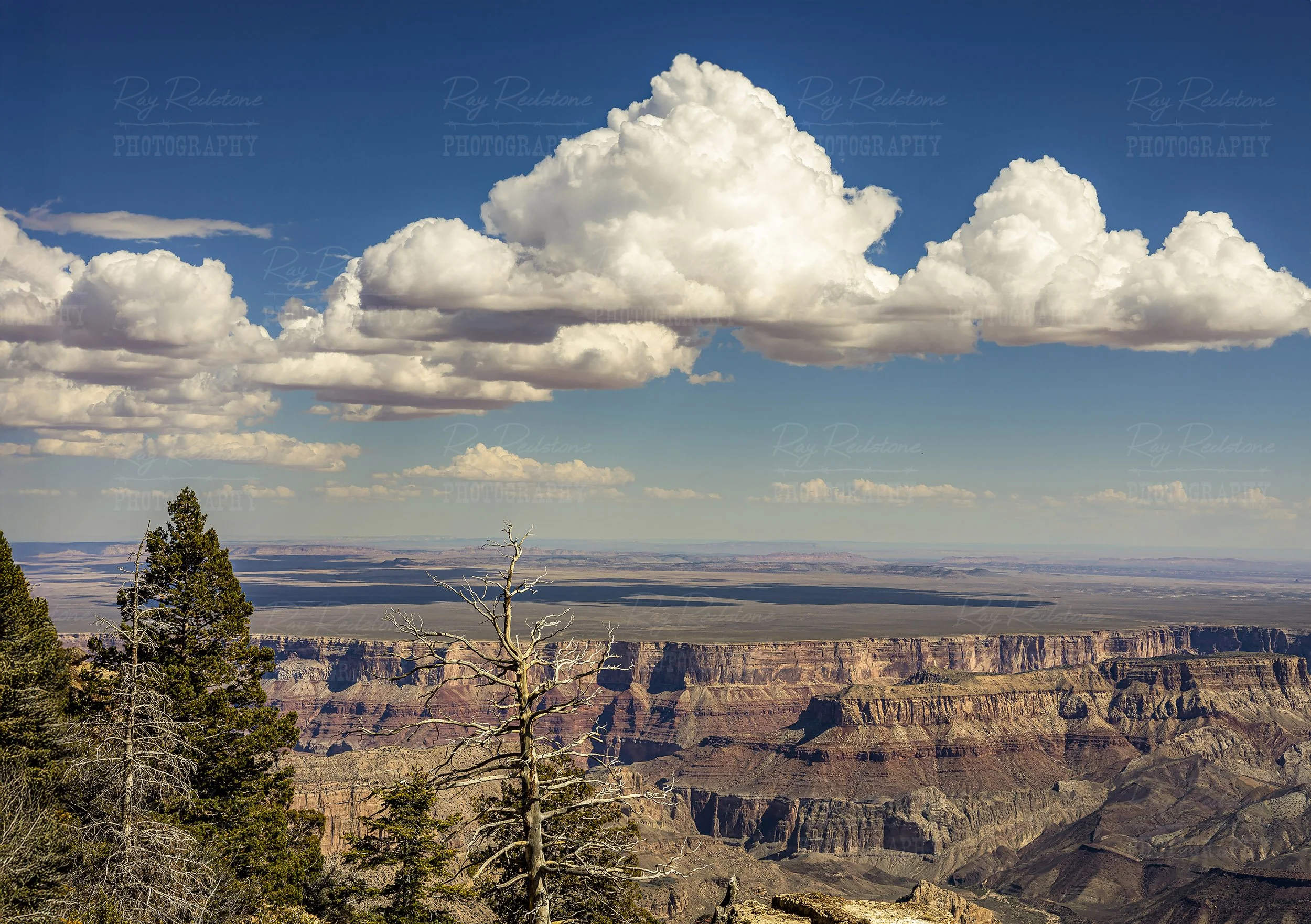 Epic Point Imperial View North Rim Grand Canyon AZ