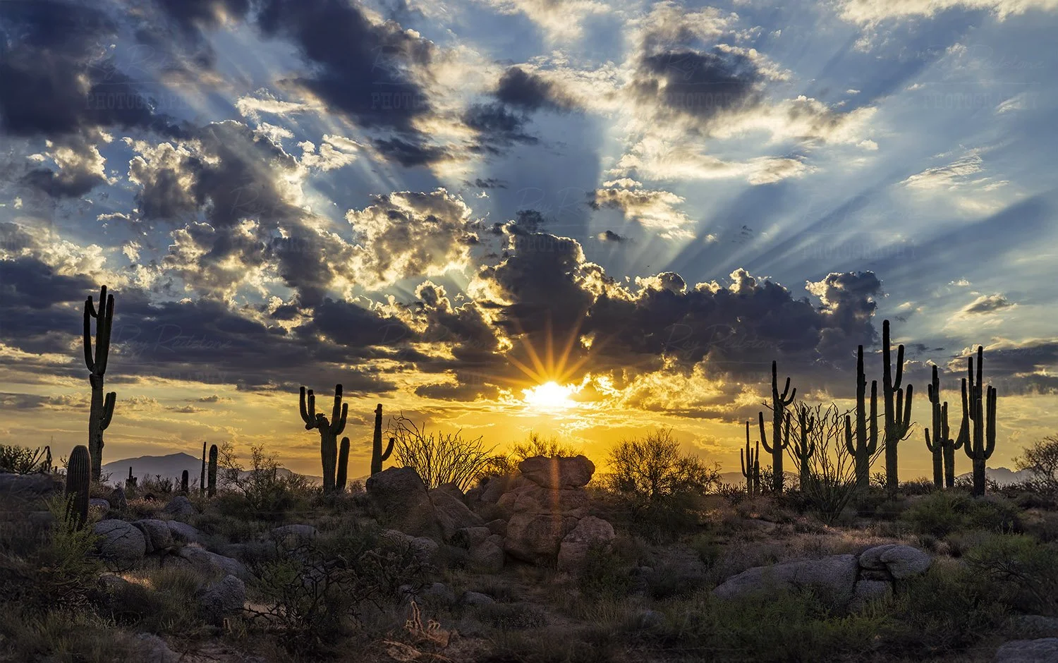 Desert sunrise sunrays