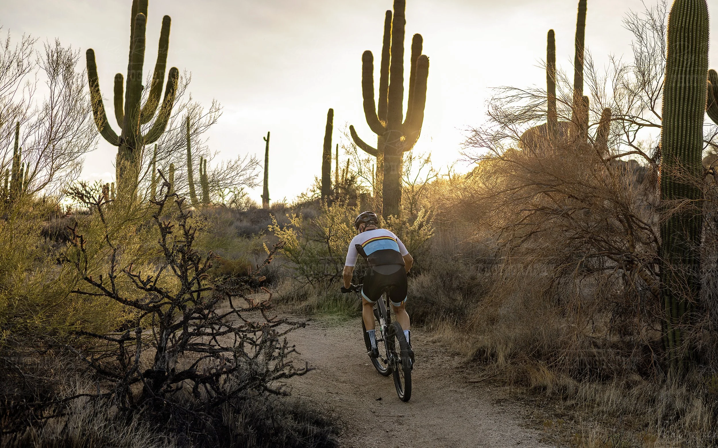 Man On Mountain Bike Heading Up Desert Trail In AZ