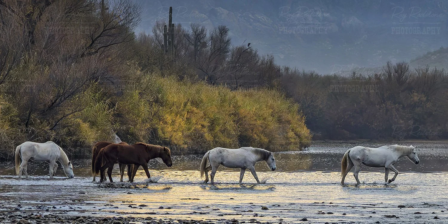 Ultra Wide View Of River Crossing