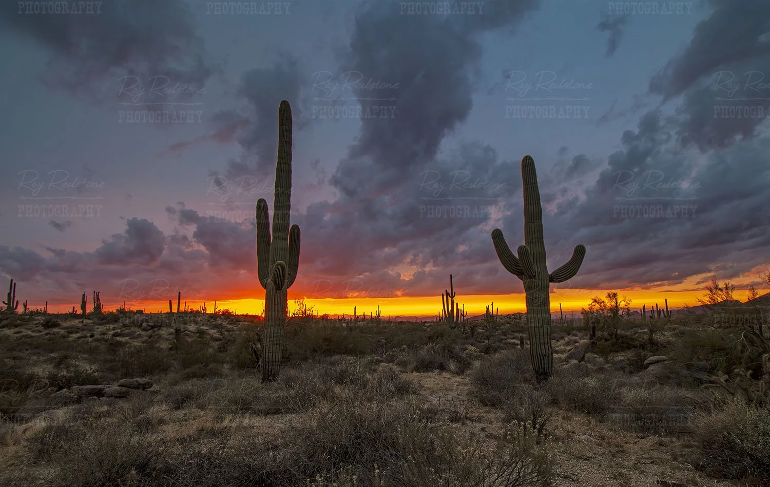 Scottsdale Sunset