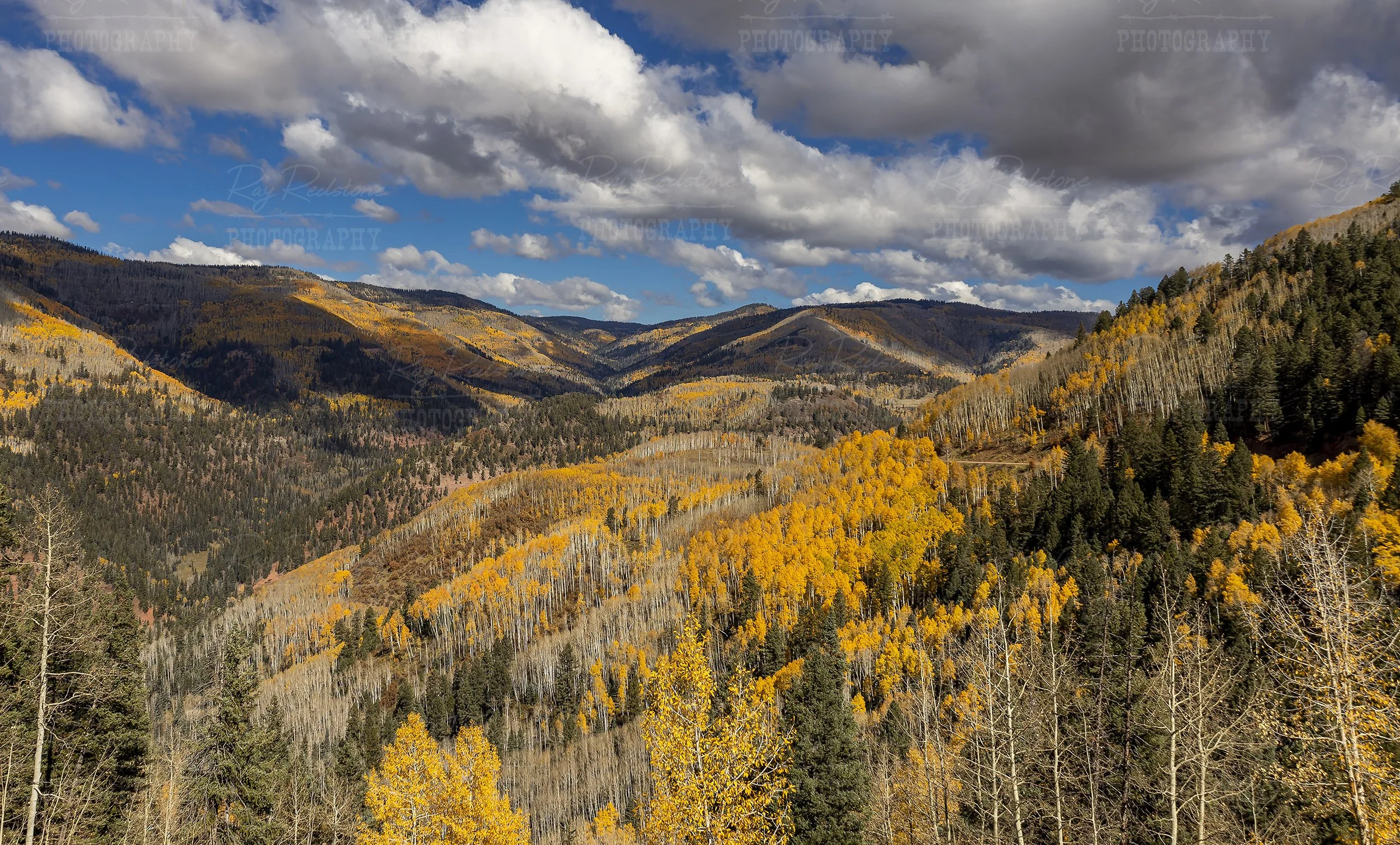 Fall Colors On Rocky Mountains Near Rico CO