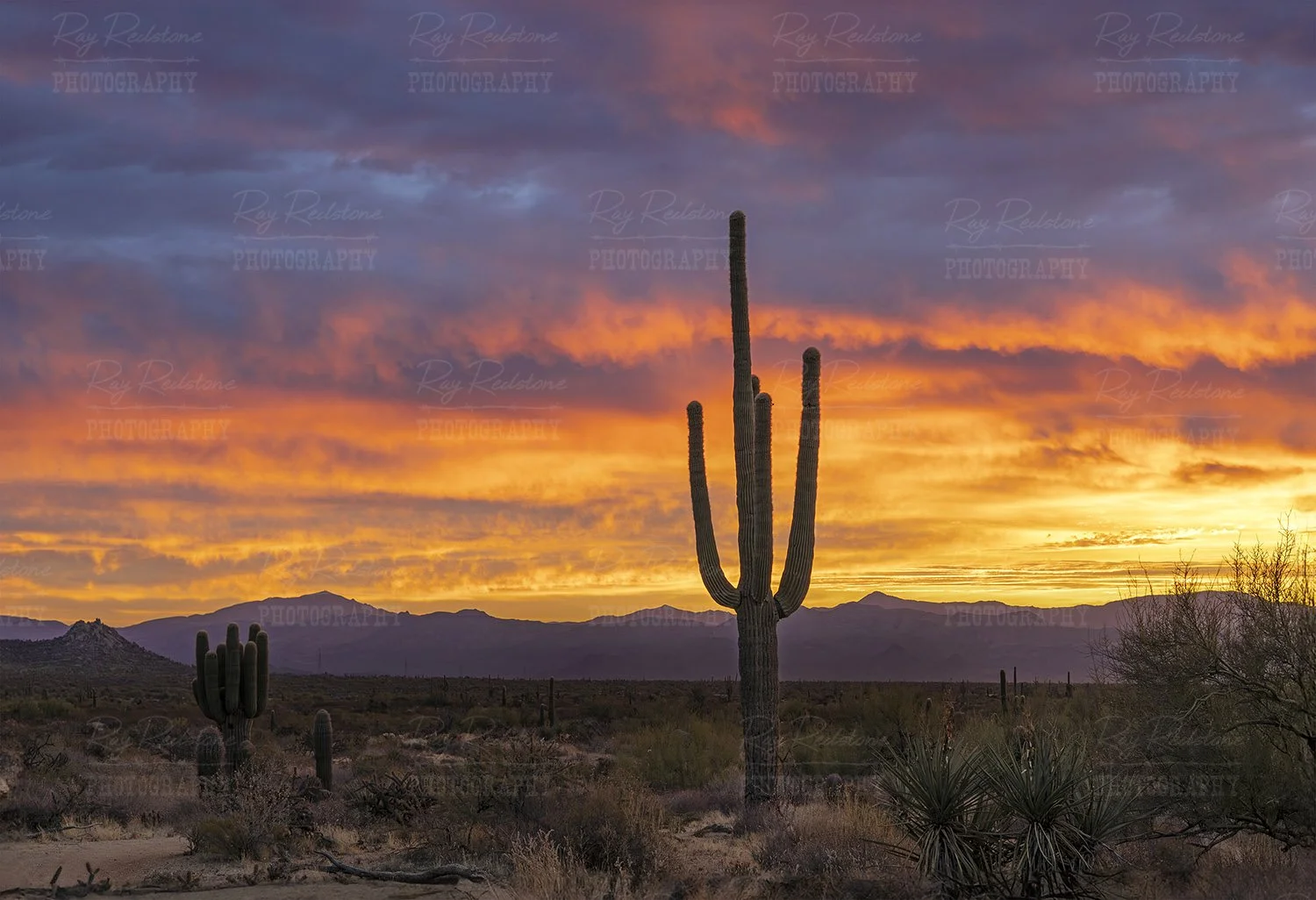 Scottsdale Sunrise