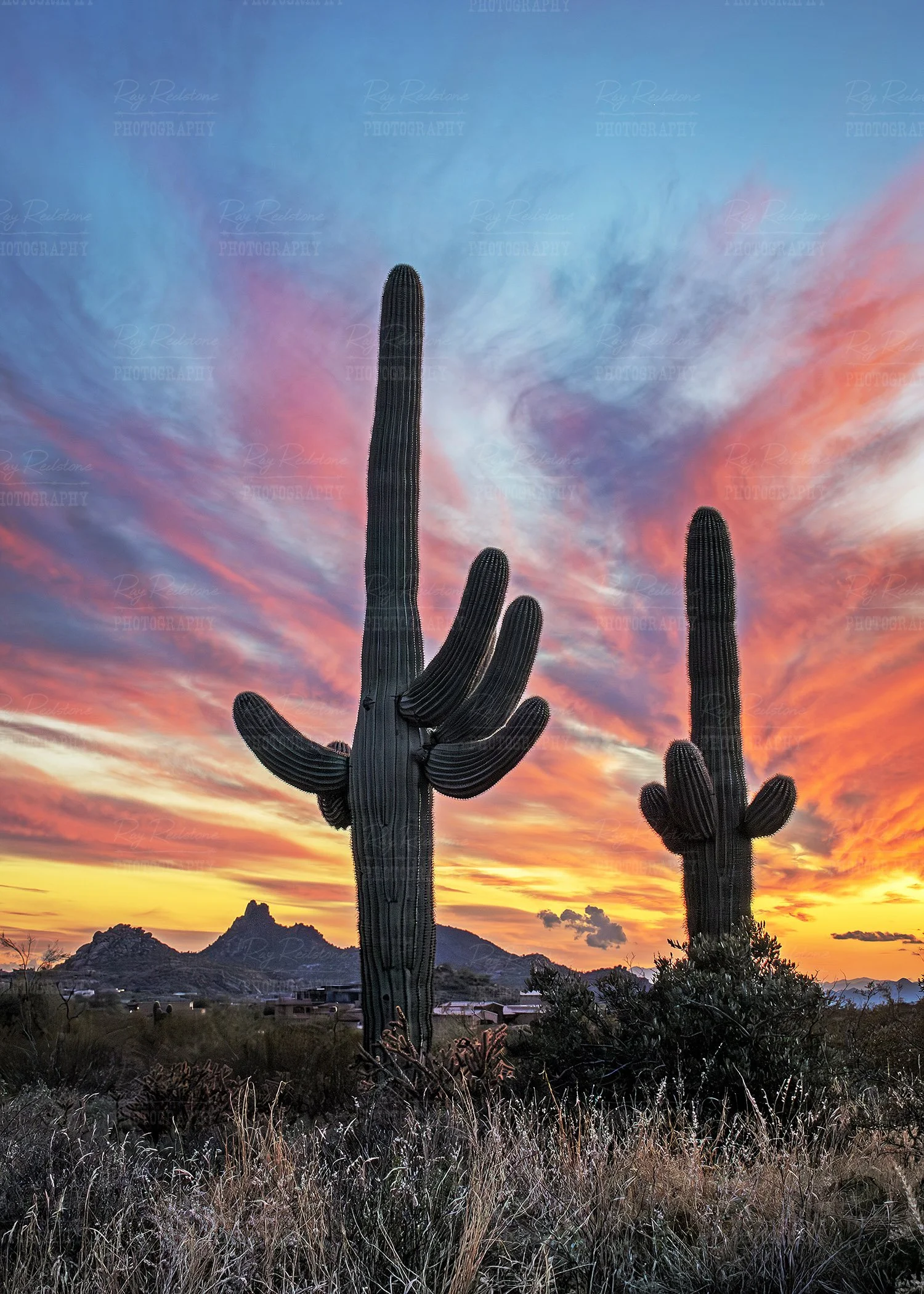 Vertical View Epic Sunset 