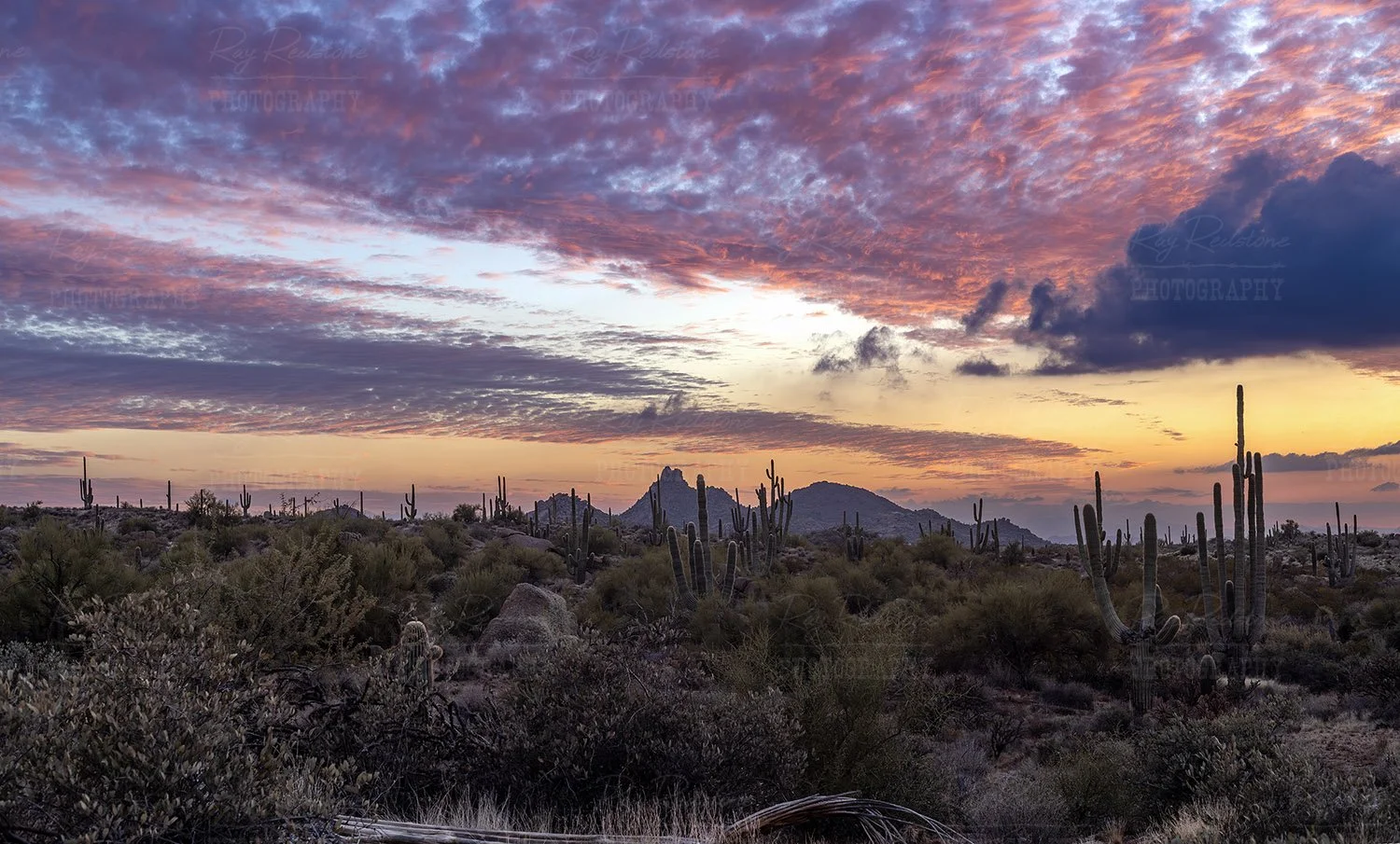 North Scottsdale Sunset 
