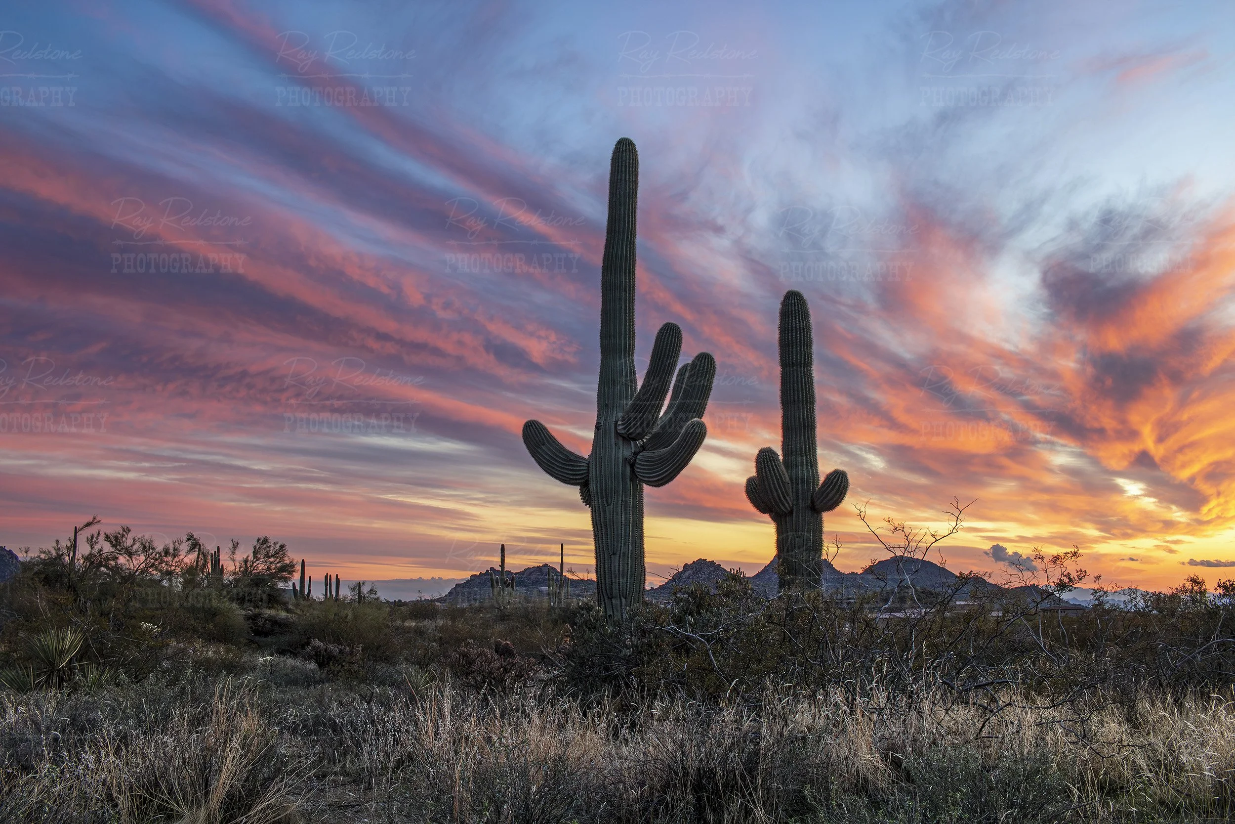 Colorful Desert Sunset In Arizona With cactus