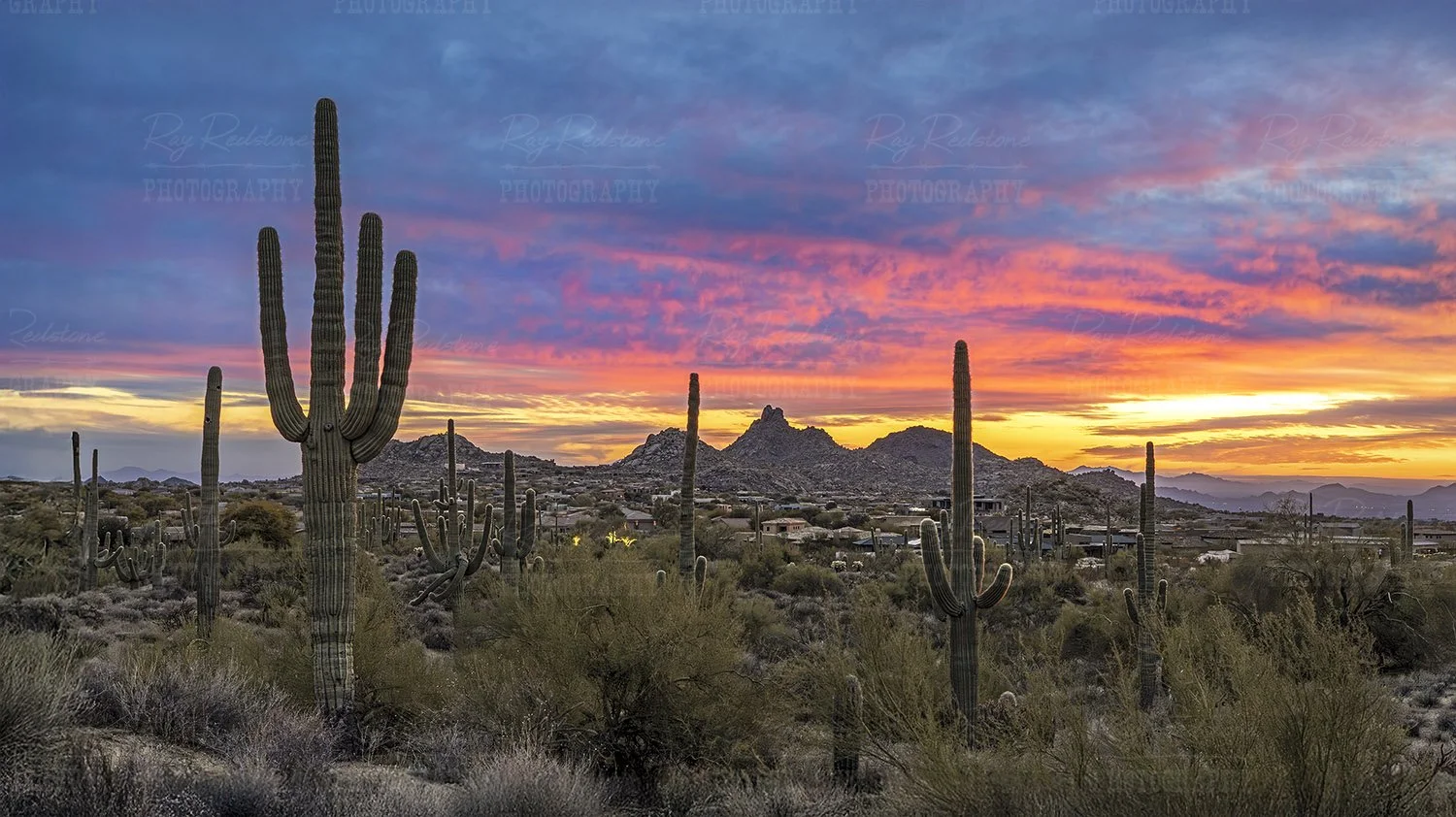 North Scottsdale Sunset 