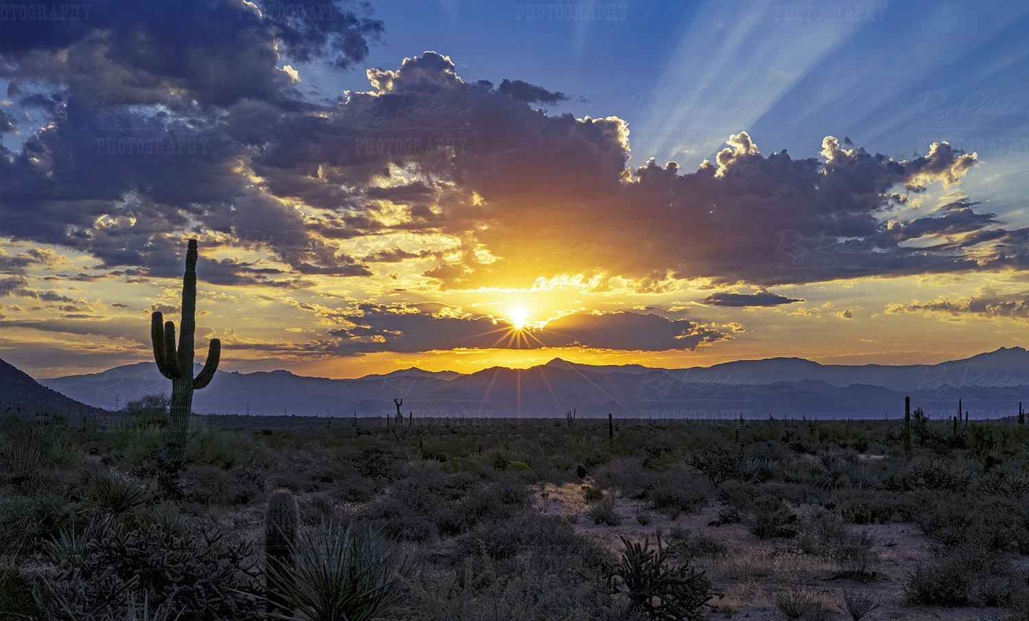 North Scottsdale desert sunrise 