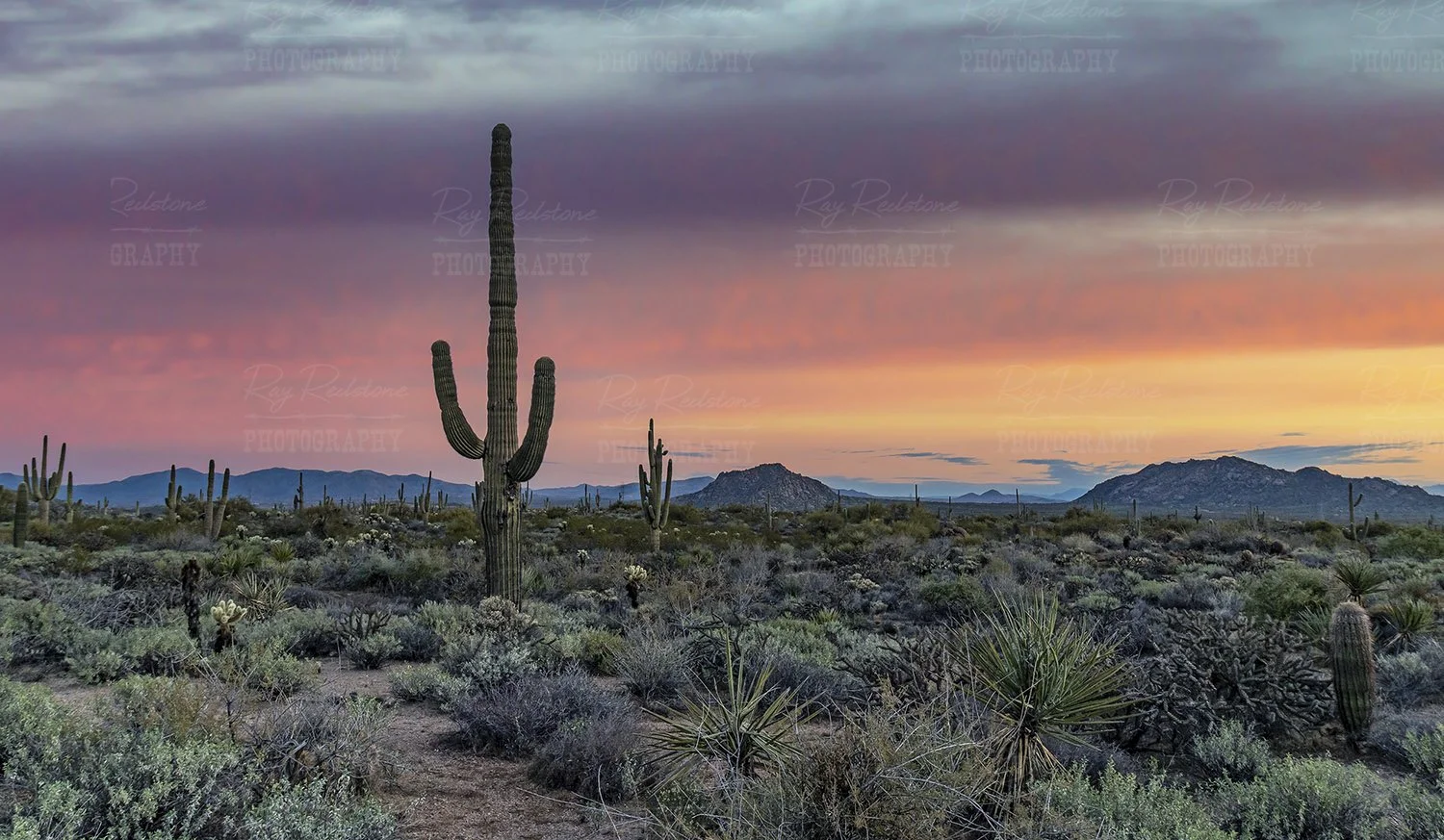 Sunrise At The McDowell Sonoran Preserve 