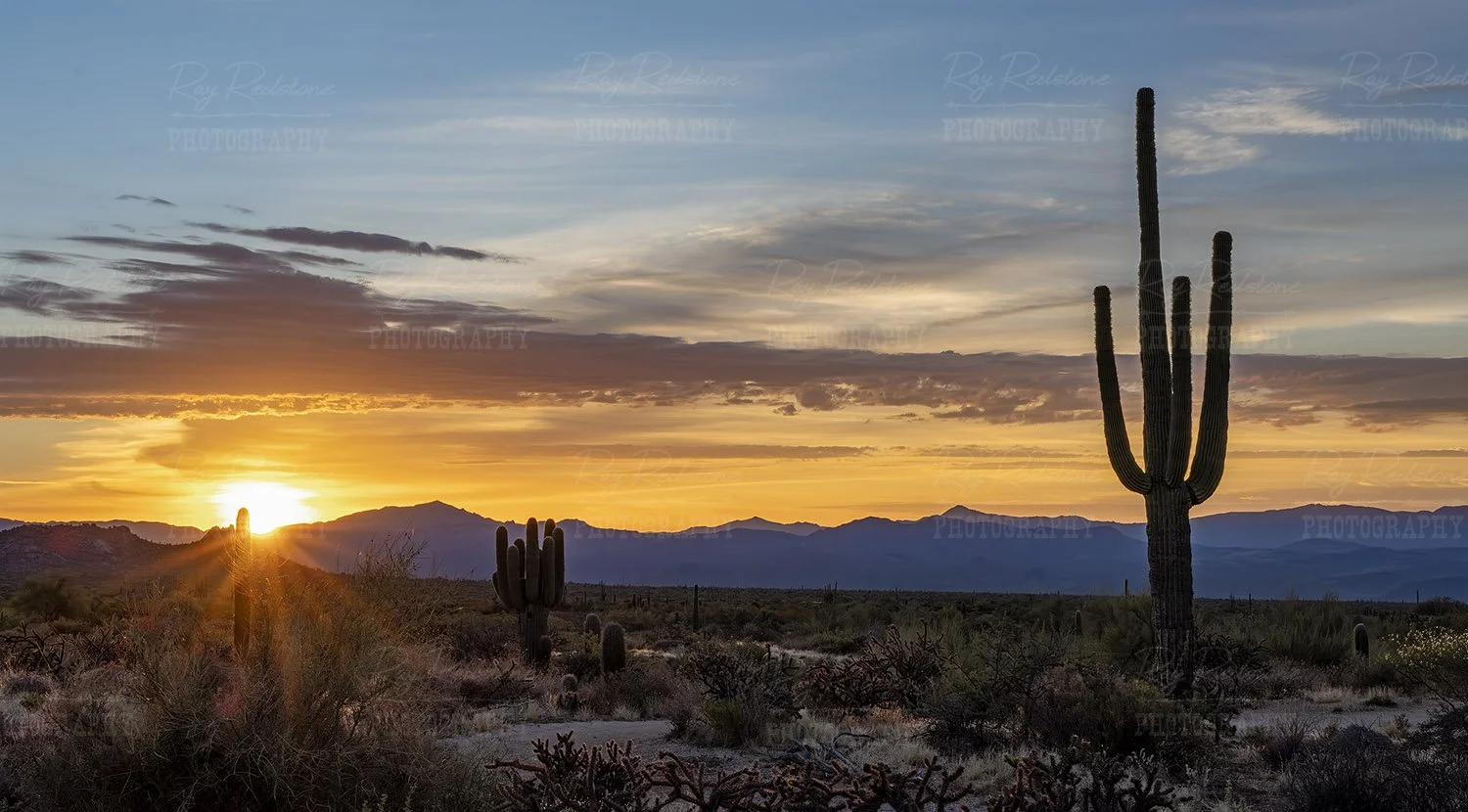Wide ratio sunrise